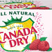 Canada Dry Raspberry Sparkling Seltzer Water Cans, Value Pack, 12 x 12 oz