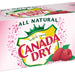 Canada Dry Raspberry Sparkling Seltzer Water Cans, Value Pack, 12 x 12 oz