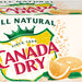 Canada Dry Mandarin Orange Sparkling Seltzer Water Cans, Value Pack, 12 x 12 oz