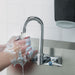 Member's Mark Commercial Foaming Hand Soap Dispenser, 