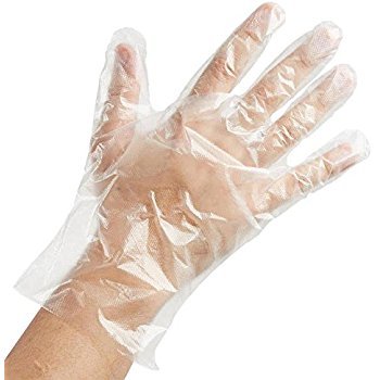 Member's Mark Plastic Disposable Gloves, 500 pc