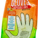 Clean Home Disposable Vinyl Gloves, 10 ct