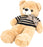 Plush Teddy Bear with Shirt, 