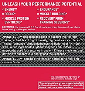 BSN Amino X Edge, Fruit Punch, 420 gr