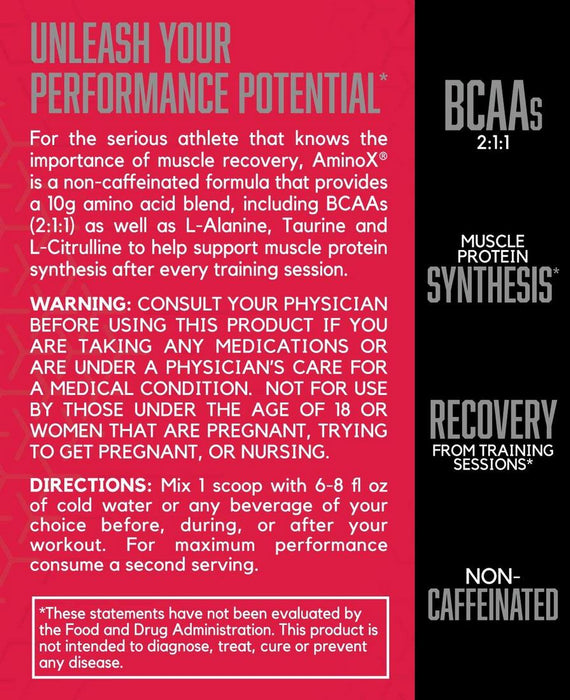 BSN Amino X Post Workout Muscle Recovery & Endurance Powder, Fruit Punch, 435 gr