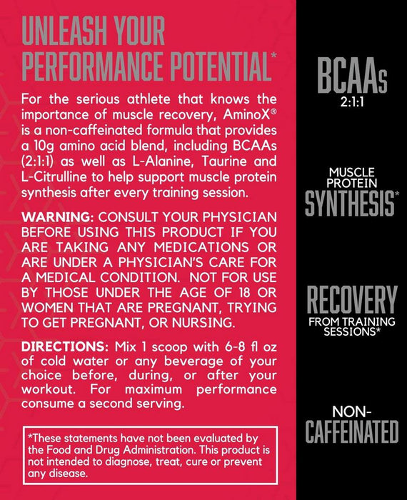 BSN Amino X Post Workout Muscle Recovery & Endurance Powder, Grape, 435 gr