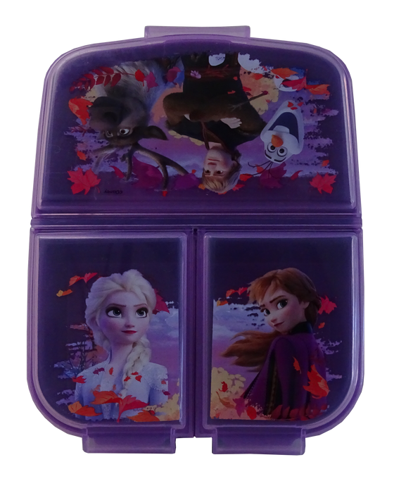 Frozen Kids Multi Compartment Sandwich Box , 1 pc