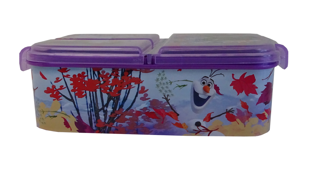 Frozen Kids Multi Compartment Sandwich Box , 1 pc
