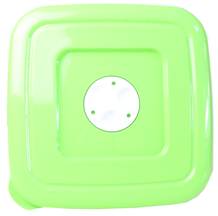 Home Smart Durable Plastic Vent Container With Light Green Lid , 3.2 L