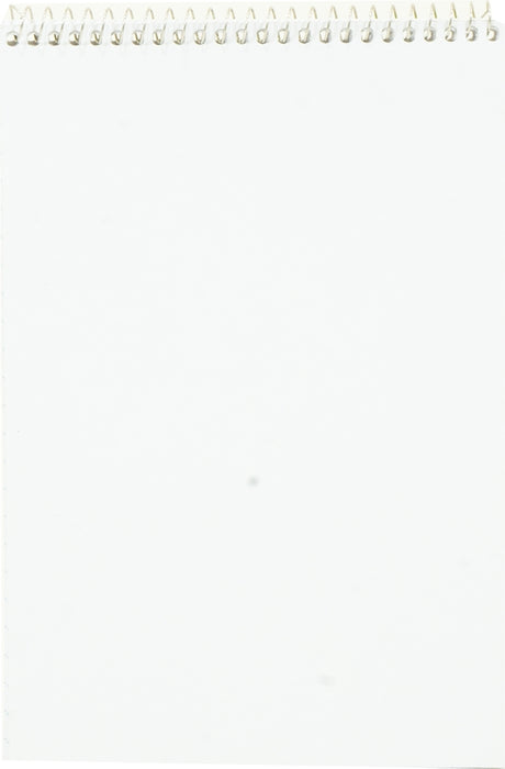 Charta Global Steno Notebook, 60 sheets