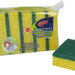 Multy Sponge Scourers (Schuursponsen), 5 ct