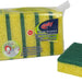 Multy Sponge Scourers Value Pack, 5 ct