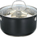 Alpina Pan with Lid, 20 cm