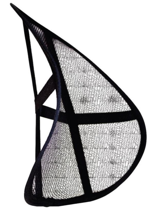 Lifetime Ergonomic Back/Lumbar Support, 39 x 39 cm, 1 pc