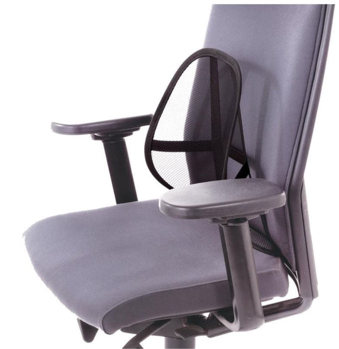 Lifetime Ergonomic Back/Lumbar Support, 39 x 39 cm, 1 pc