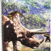 Kittrich Corporation Dinosaurs Theme Notebook, 70 sheets