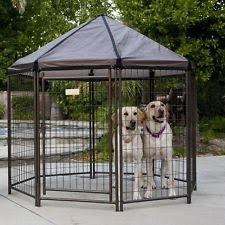 Advantek Pet Gazebo Modular Outdoor Dog Kennel, 5 x 5 x 5 ft