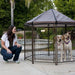 Advantek Pet Gazebo Modular Outdoor Dog Kennel, 5 x 5 x 5 ft