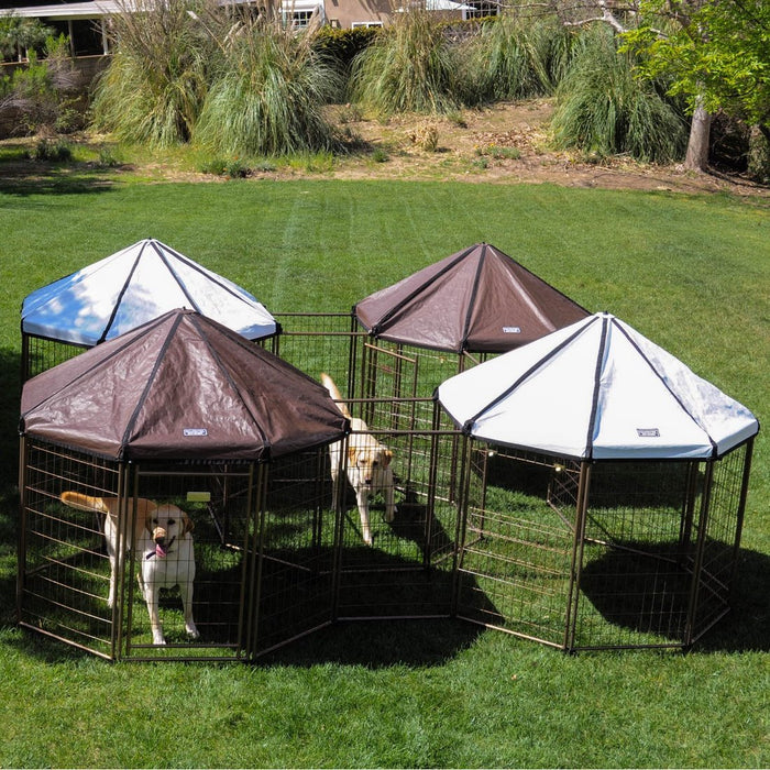 Advantek Pet Gazebo Modular Outdoor Dog Kennel, 5 x 5 x 5 ft