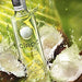 Ciroc Coconut Vodka, 37.5% Vol., 1 L