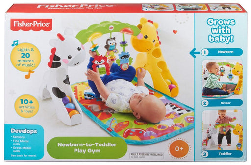 Fisher-Price Newborn-to-Toddler Play Gym, Model #CCB70