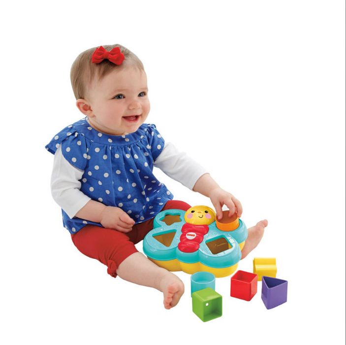 Fisher Price Butterfly Shape Sorter