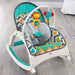 Fisher-Price Newborn-to-Toddler Portable Rocker, Model #FNB42