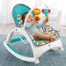 Fisher-Price Newborn-to-Toddler Portable Rocker, Model #FNB42