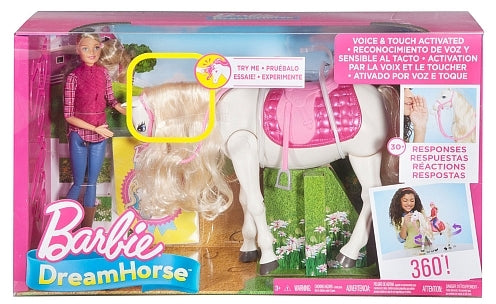 Barbie Interactive Horse & Doll, Model #FRV36