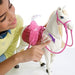 Barbie Interactive Horse & Doll, Model #FRV36