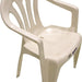 Goisco Plastic Chair, 1 pc 