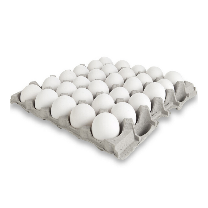 Eggs Case, 30 pcs (White)