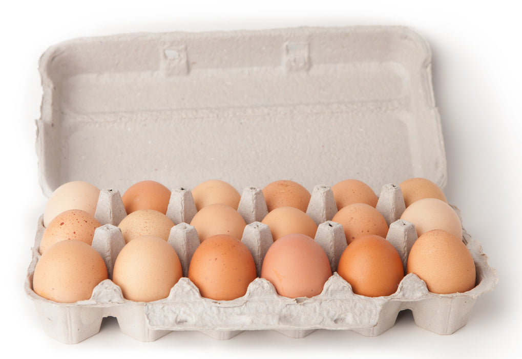 Eggs Case, 18 pcs