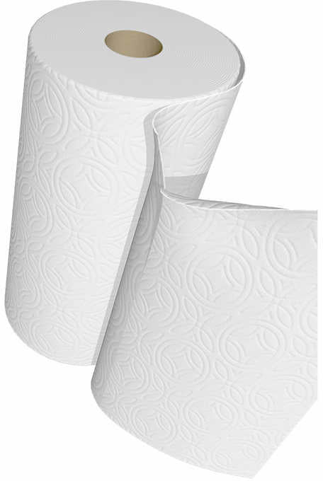 Kirkland Signature Premium Paper Towels, 12 ct