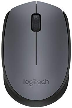 Logitech M170 Wireless Mouse, Silver, 1 pc