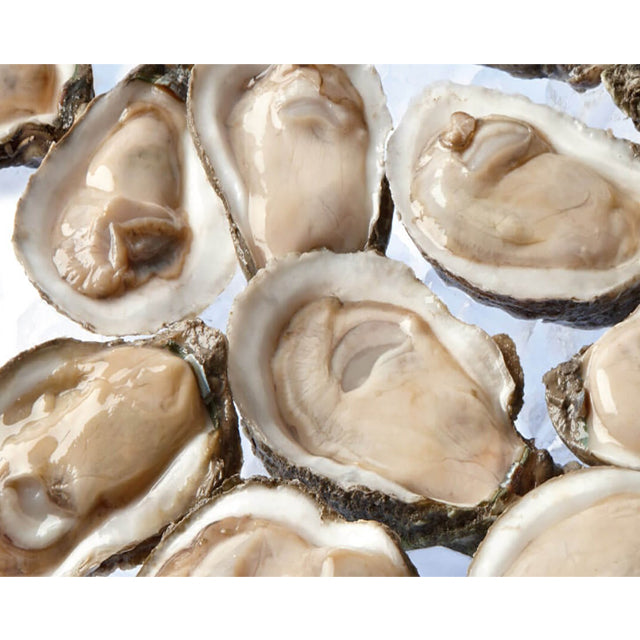 Frozen Half Shell Oysters, 6 ct